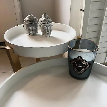 Duinenzicht Ii 데한