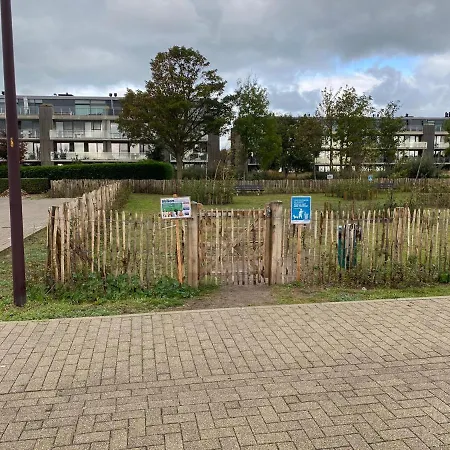 Duinenzicht Ii 아파트 *