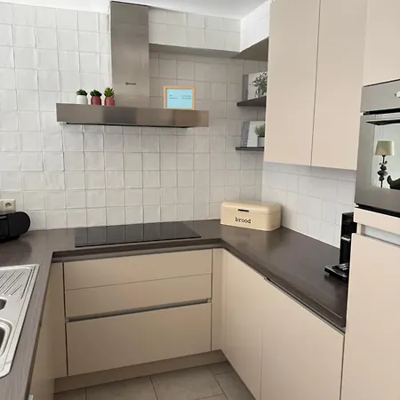 아파트 Duinenzicht Ii 데한